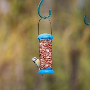 National Trust Kids Peanut Bird Feeder EasyFlip