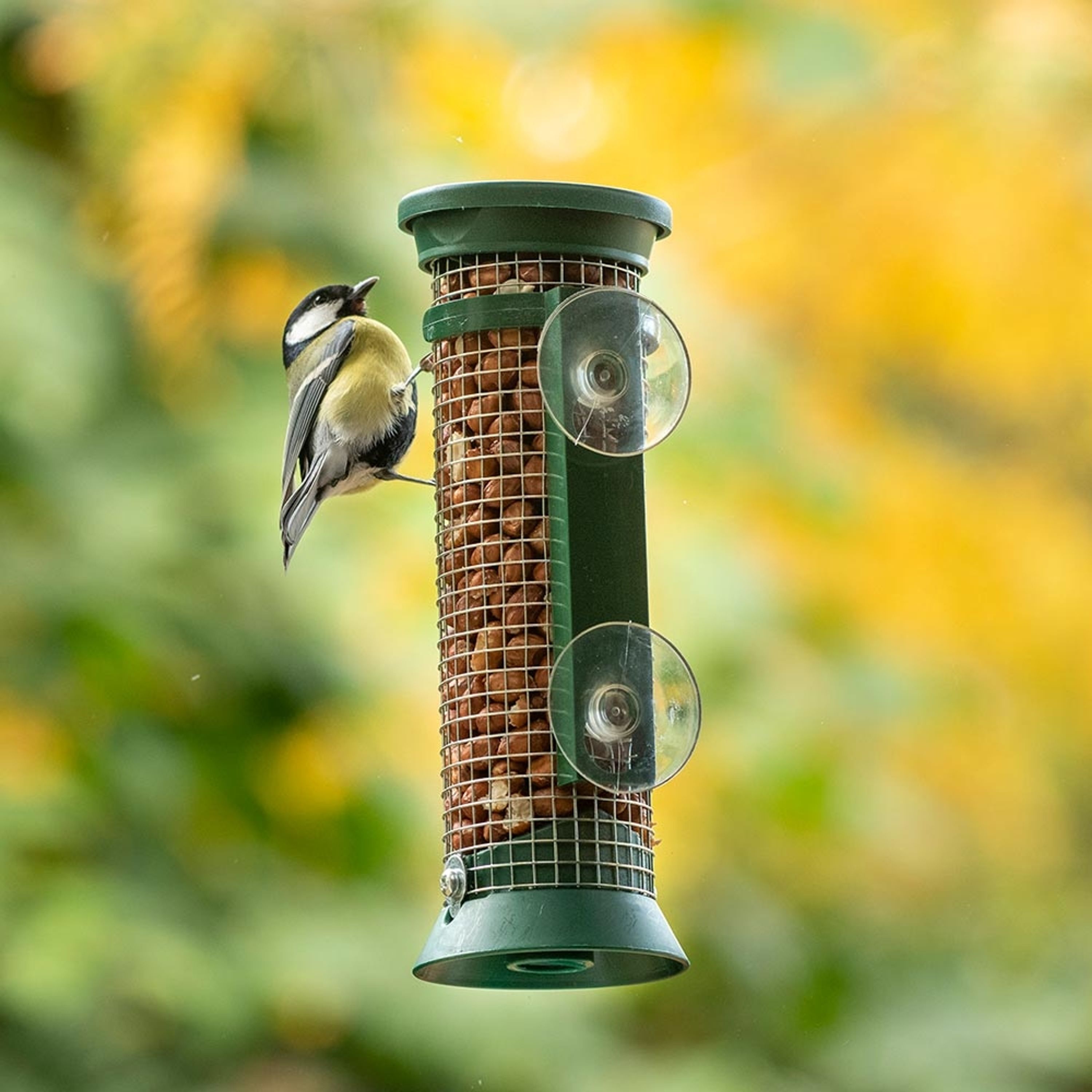 Fenster-Erdnuss-Futterautomat In Grün | CJ Wildlife