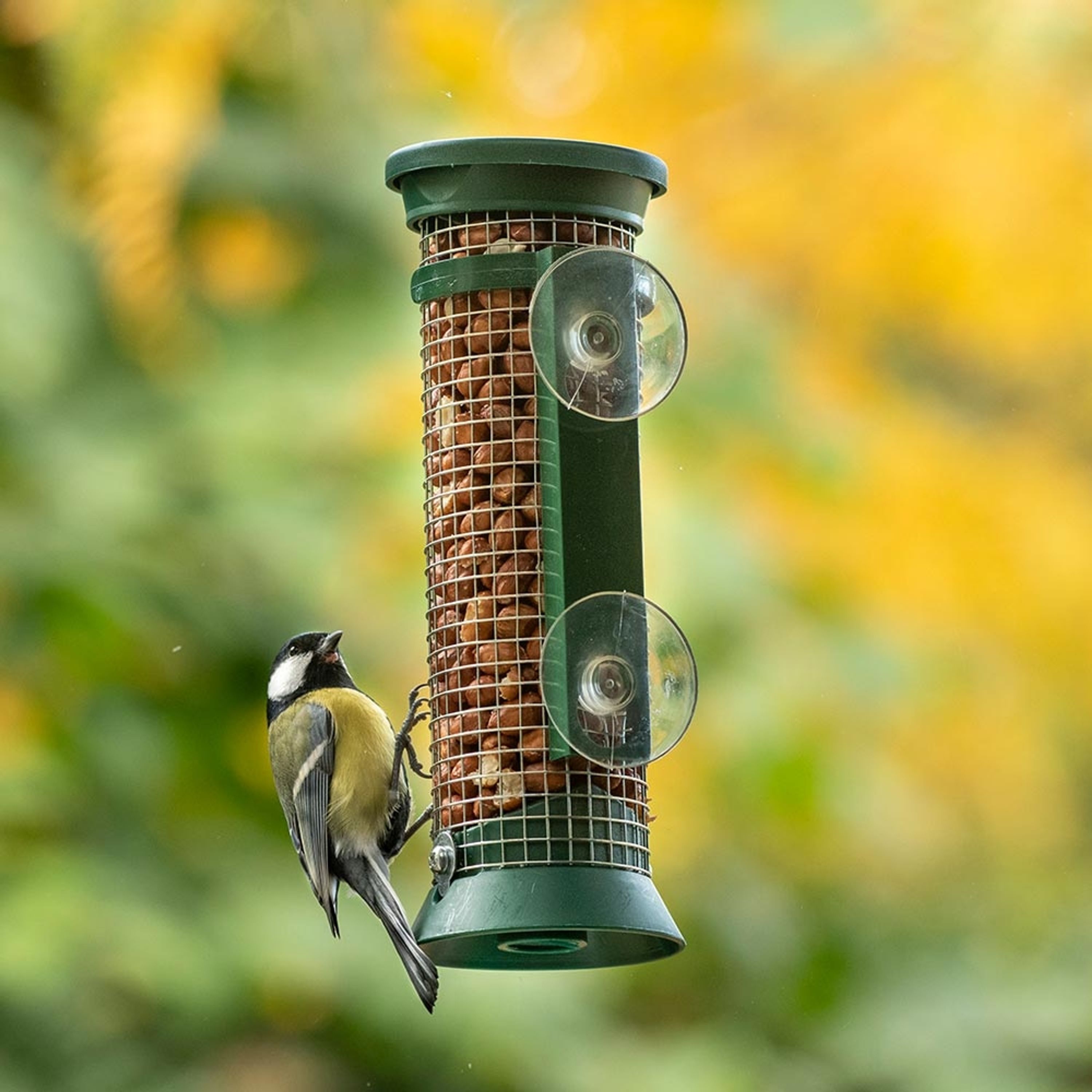 Meilleurs prix pour Mangeoire de fenêtre pour cacahuètes | Mangeoires Silos | Mangeoires pour oiseaux | Mangeoire Fenêtre | Mnageoire Ventouses | Vivara