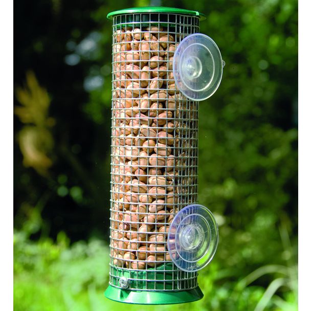 Mangeoire pour cacahuètes pour fenêtre Découverte 