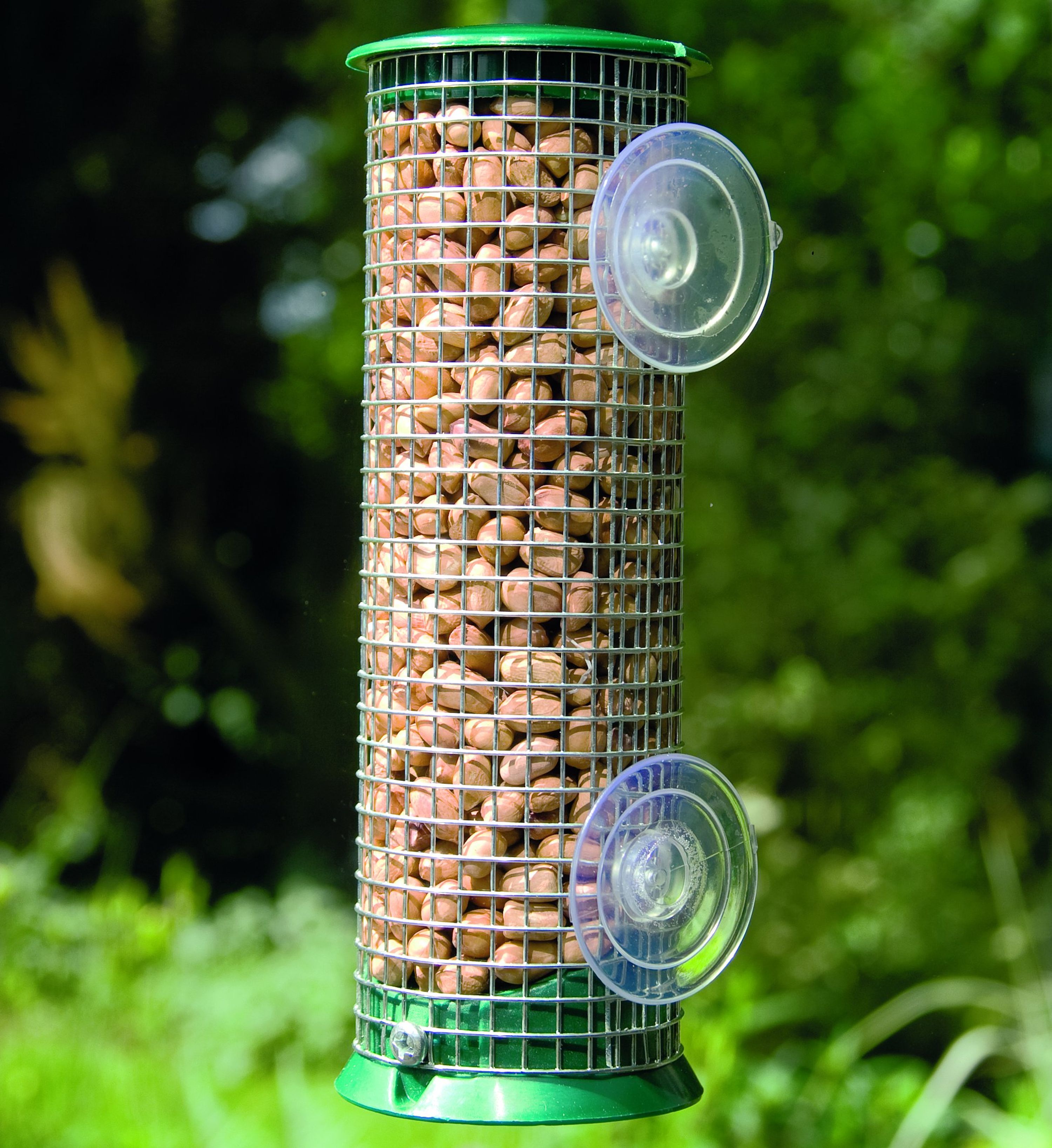 Meilleurs prix pour Mangeoire pour cacahuètes pour fenêtre Découverte | CJ Wildlife