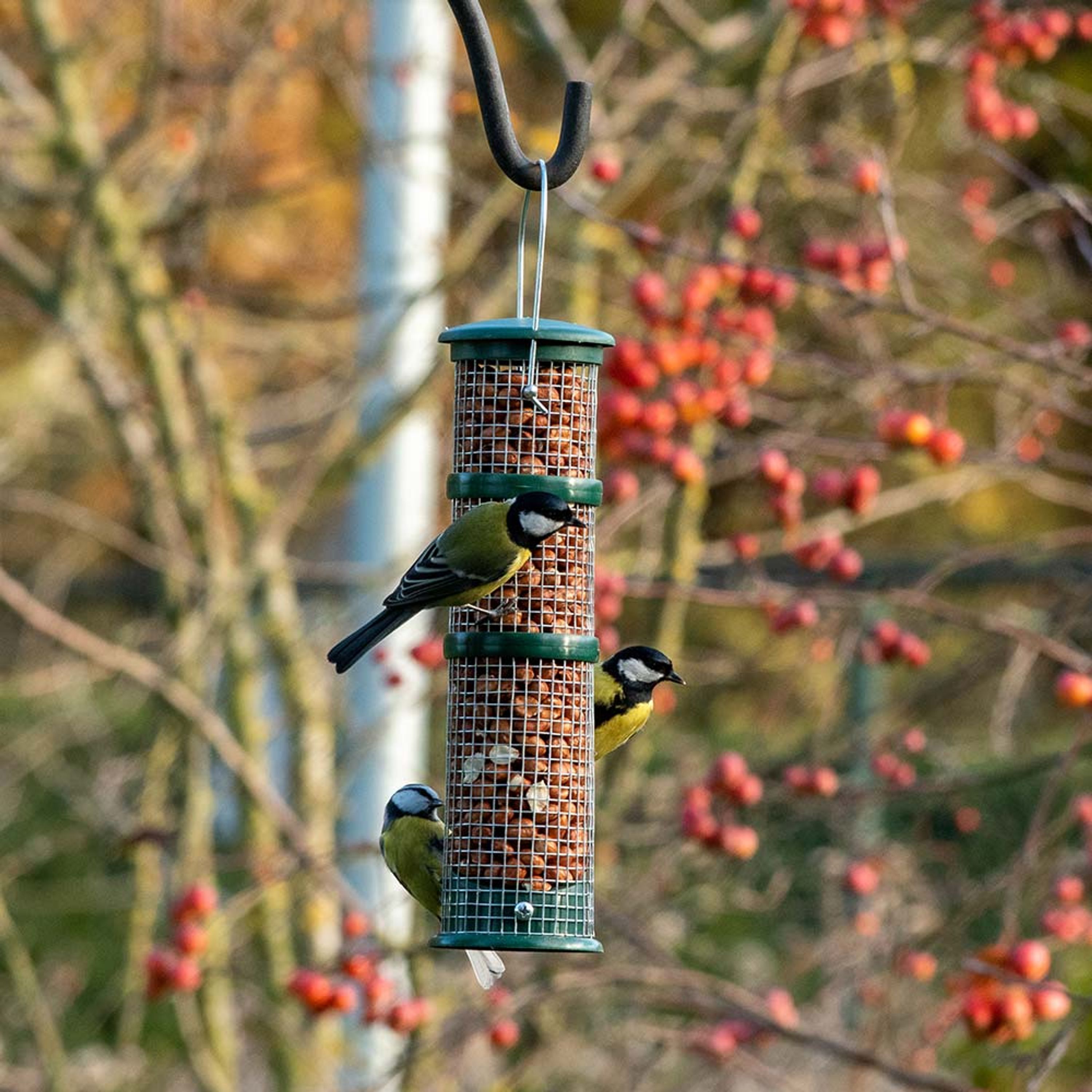 NABU Erdnusssäule Hamburg, groß | NABU
