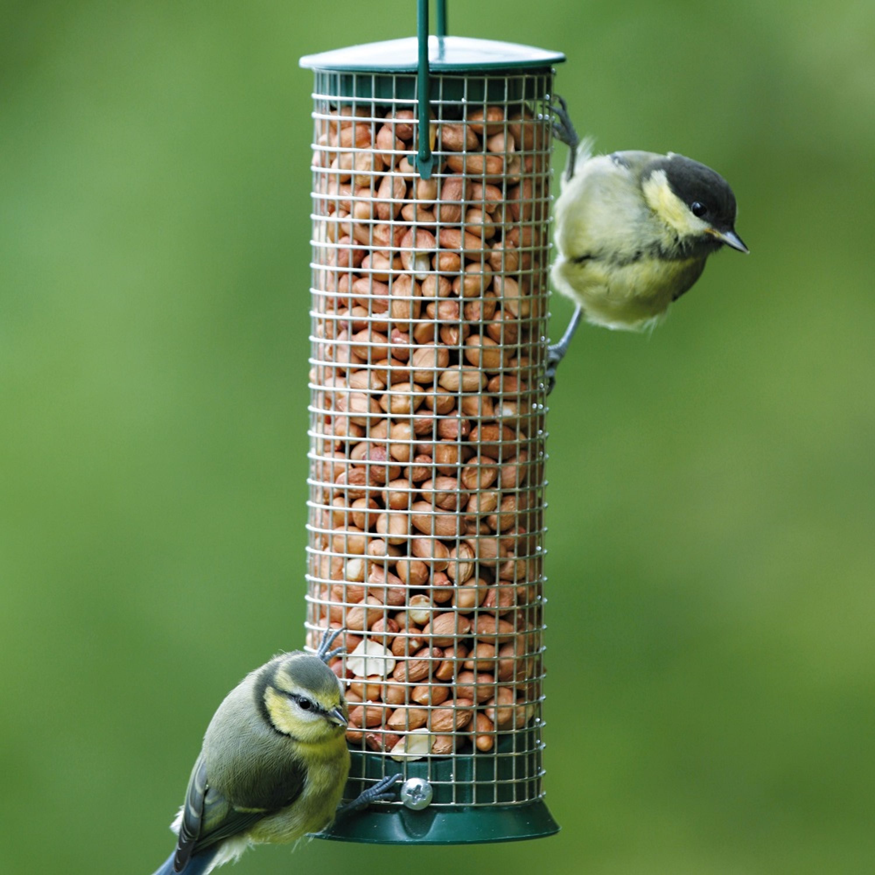 Comparer les prix de Silo à cacahuètes suspendu | Silo Découverte | Cacahuètes | Mangeoires pour oiseaux | Mangeoires pour cacahuètes | Vivara