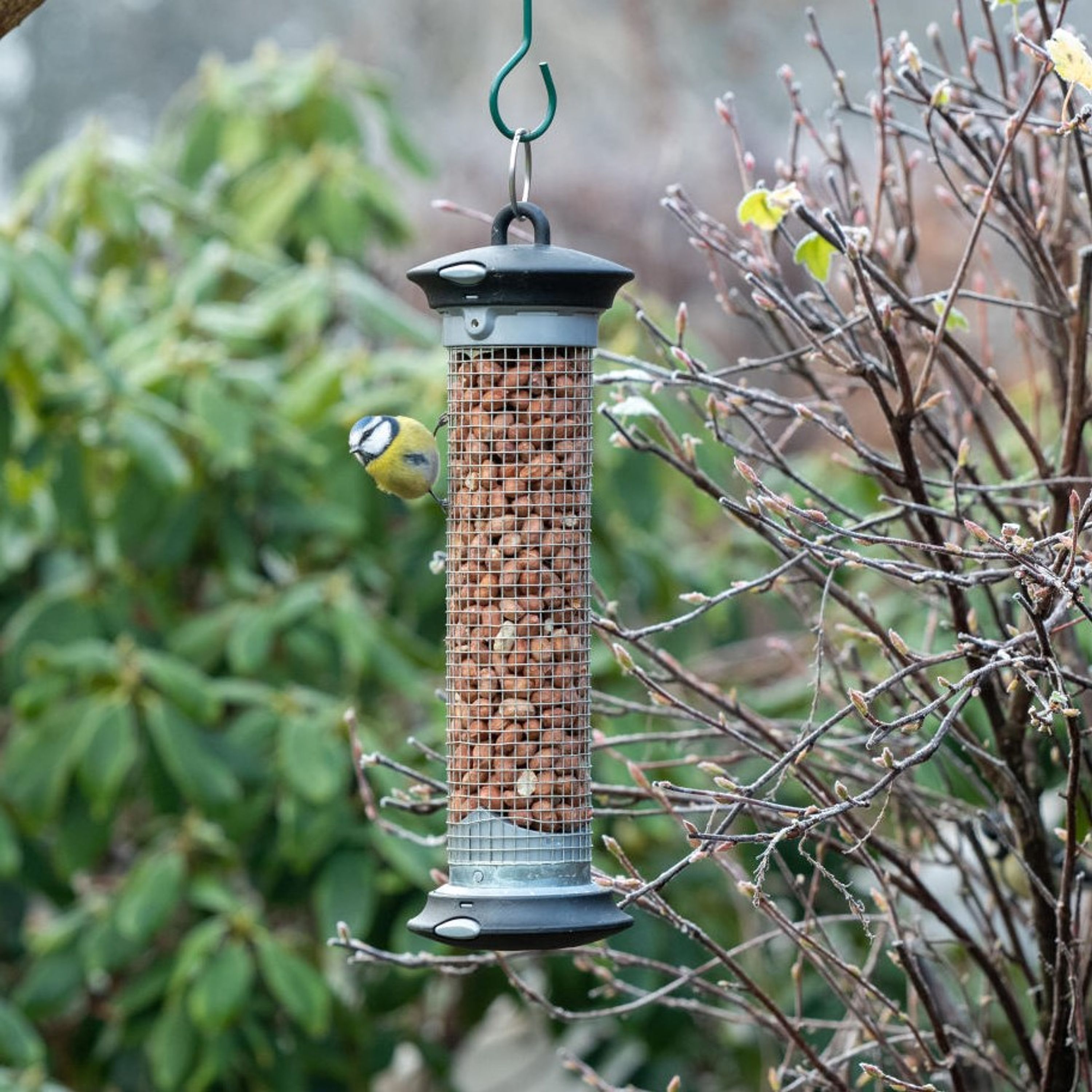 Erdnuss-Säule „Apollo“ | CJ Wildlife