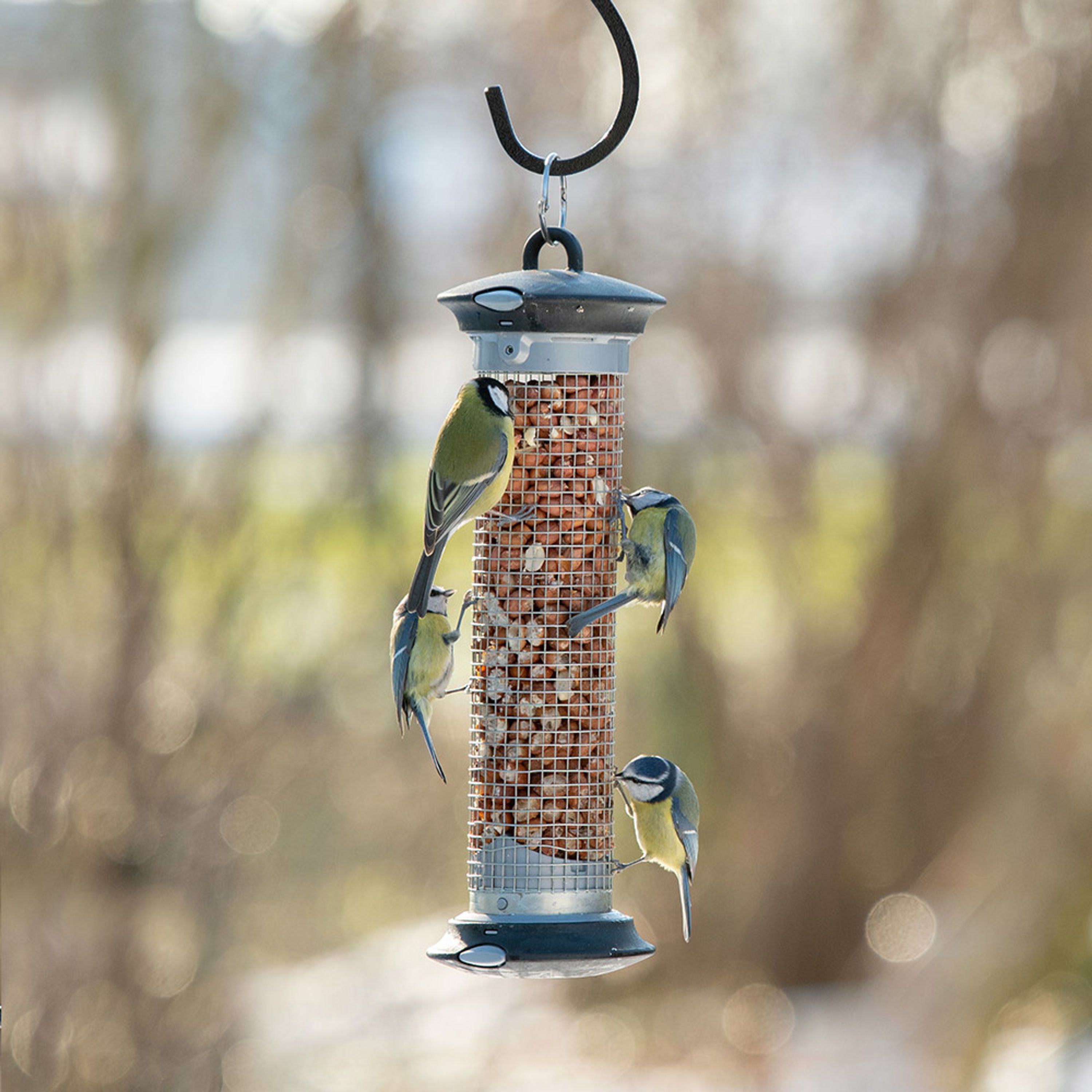 Erdnuss-Säule „Apollo“ | CJ Wildlife