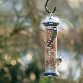 National Trust Apollo Peanut Bird Feeder