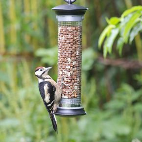 BirdLife Österreich Erdnuss-Säule „Apollo“
