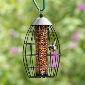 Singapore Guardian Caged Peanut Feeder