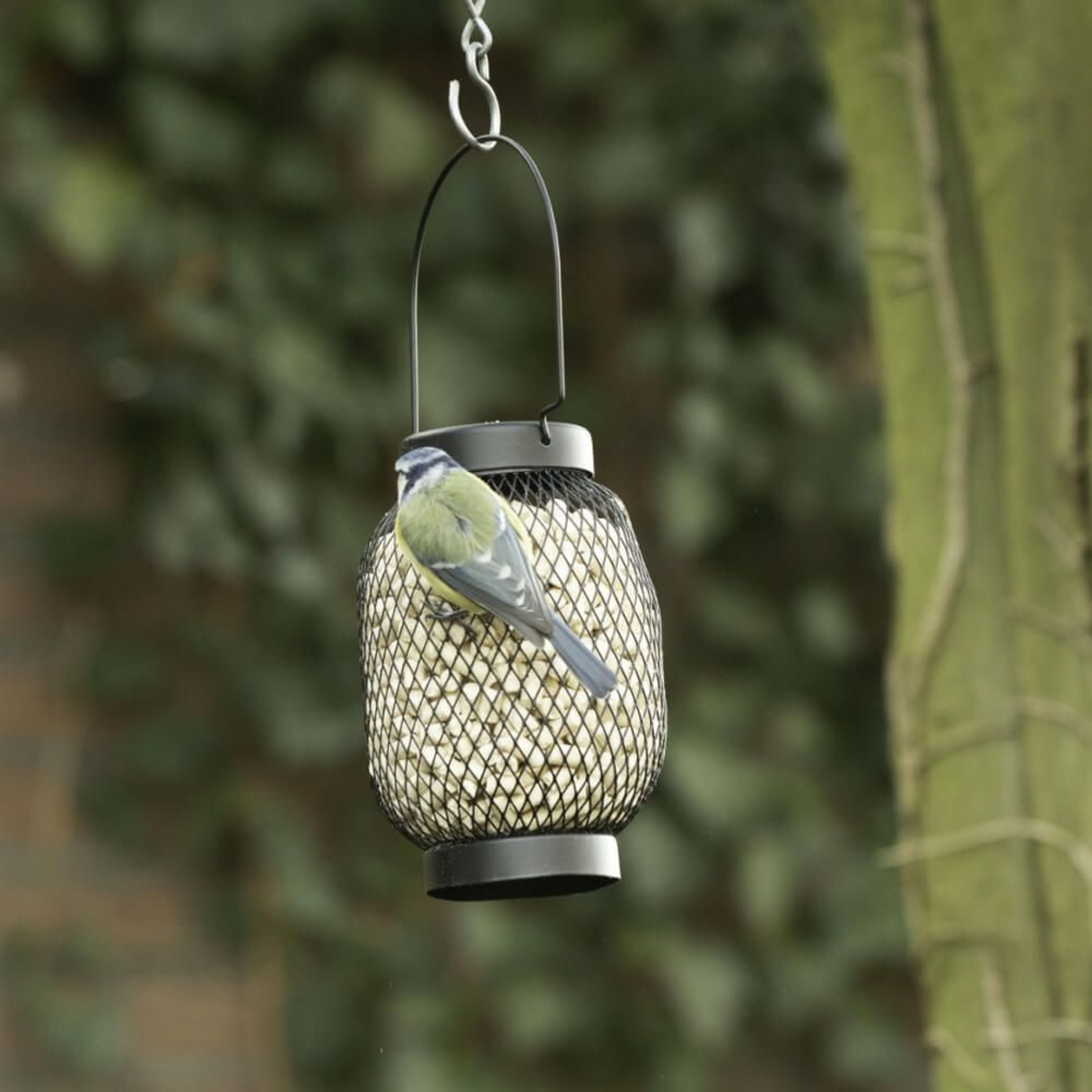 Erdnusssäule "Berlin" schwarz | CJ Wildlife