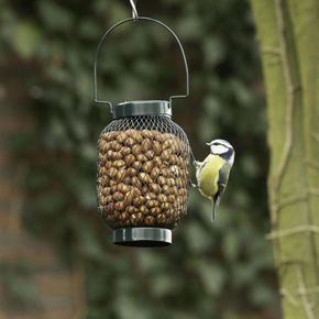 Pindasilo Berlijn (Groen)