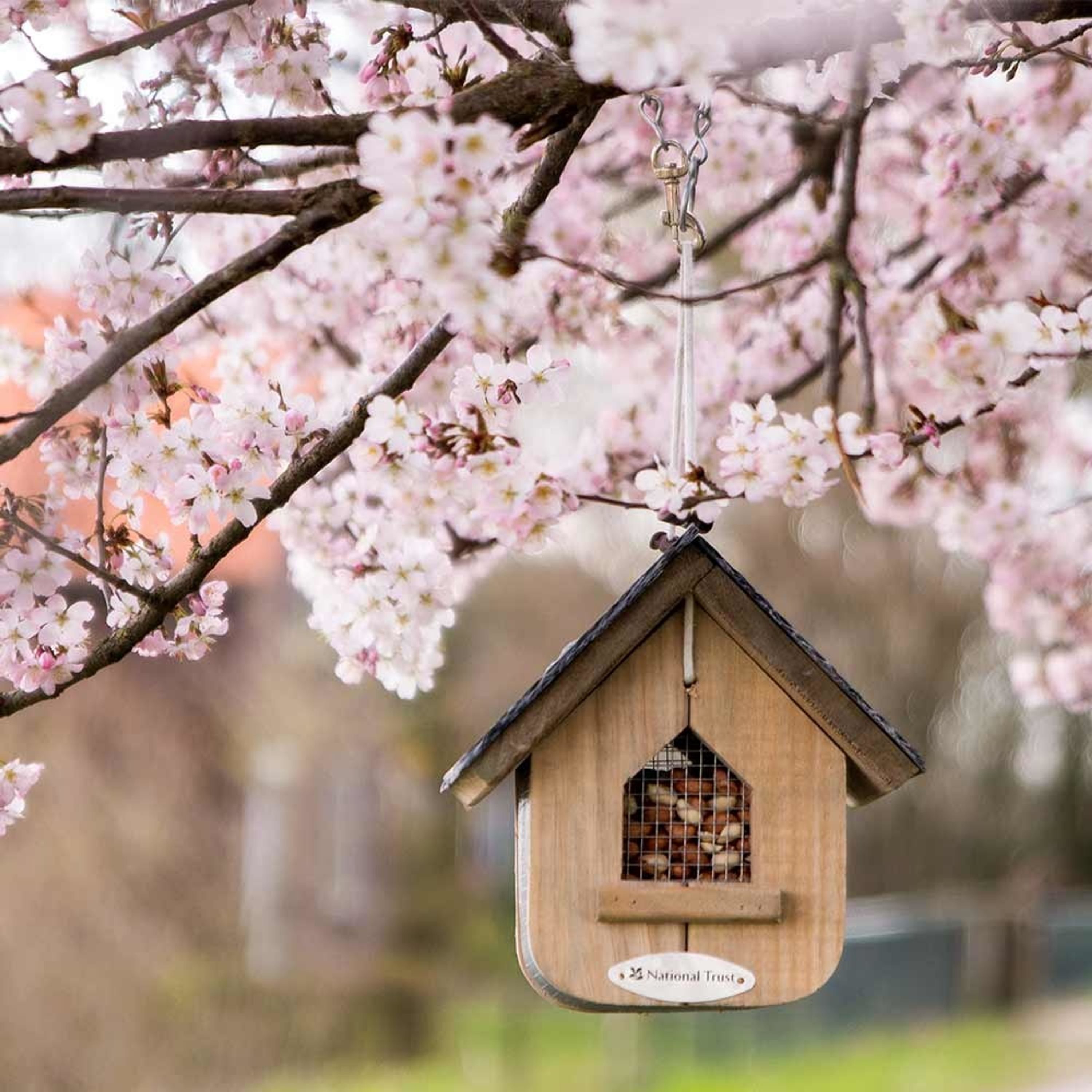 National Trust Jupiter Peanut Feeder