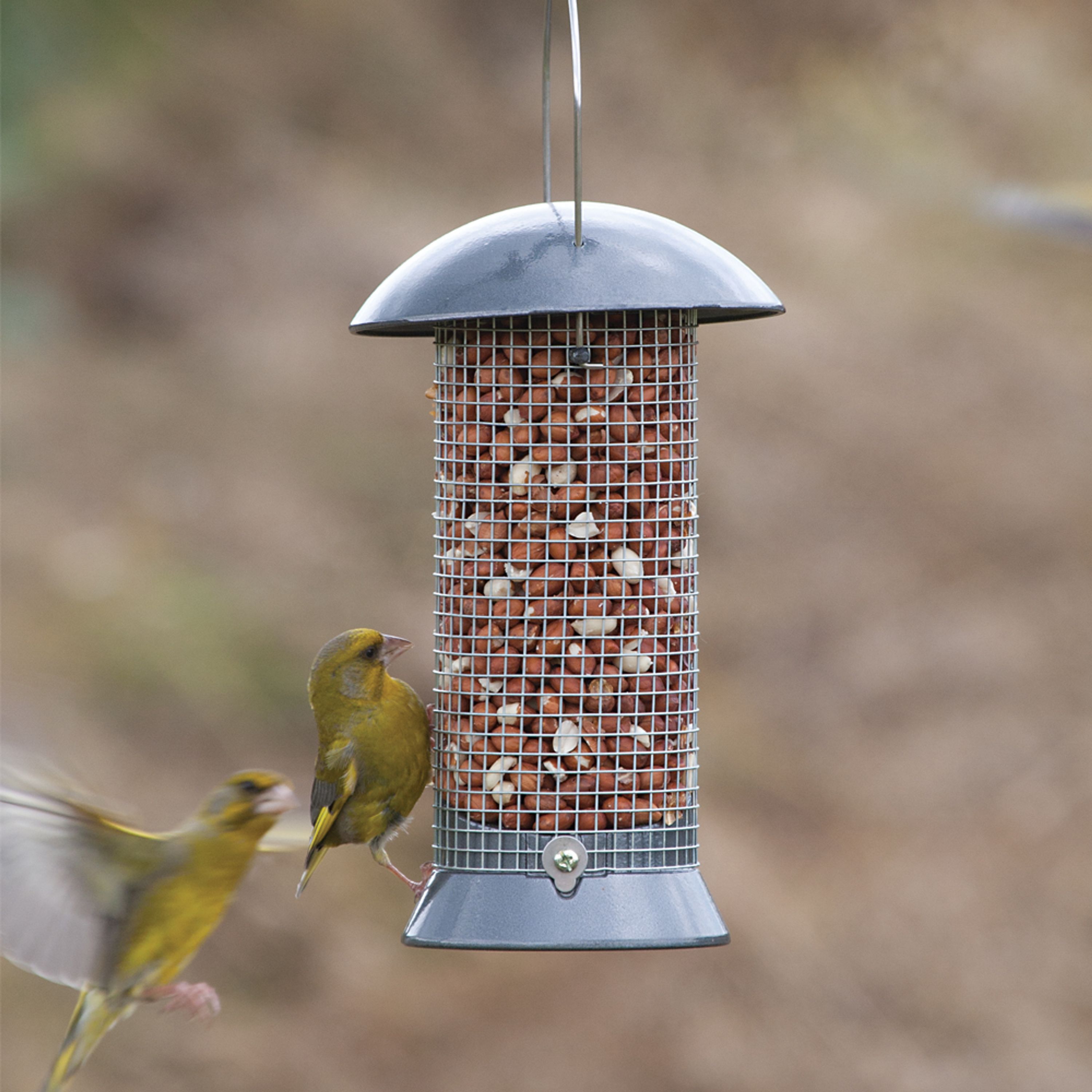 Erdnußsäule „Maximum“ 24 cm | CJ Wildlife