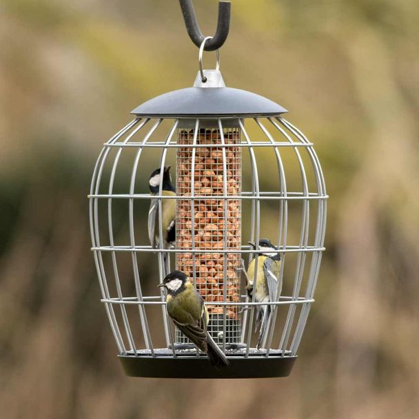 National Trust Aura Guardian Caged Peanut Feeder