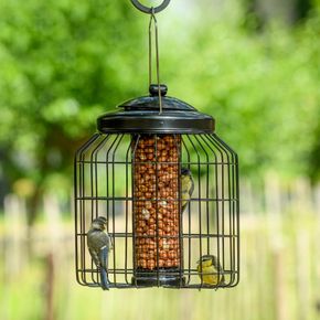 Brussels Guardian Caged Peanut Feeder