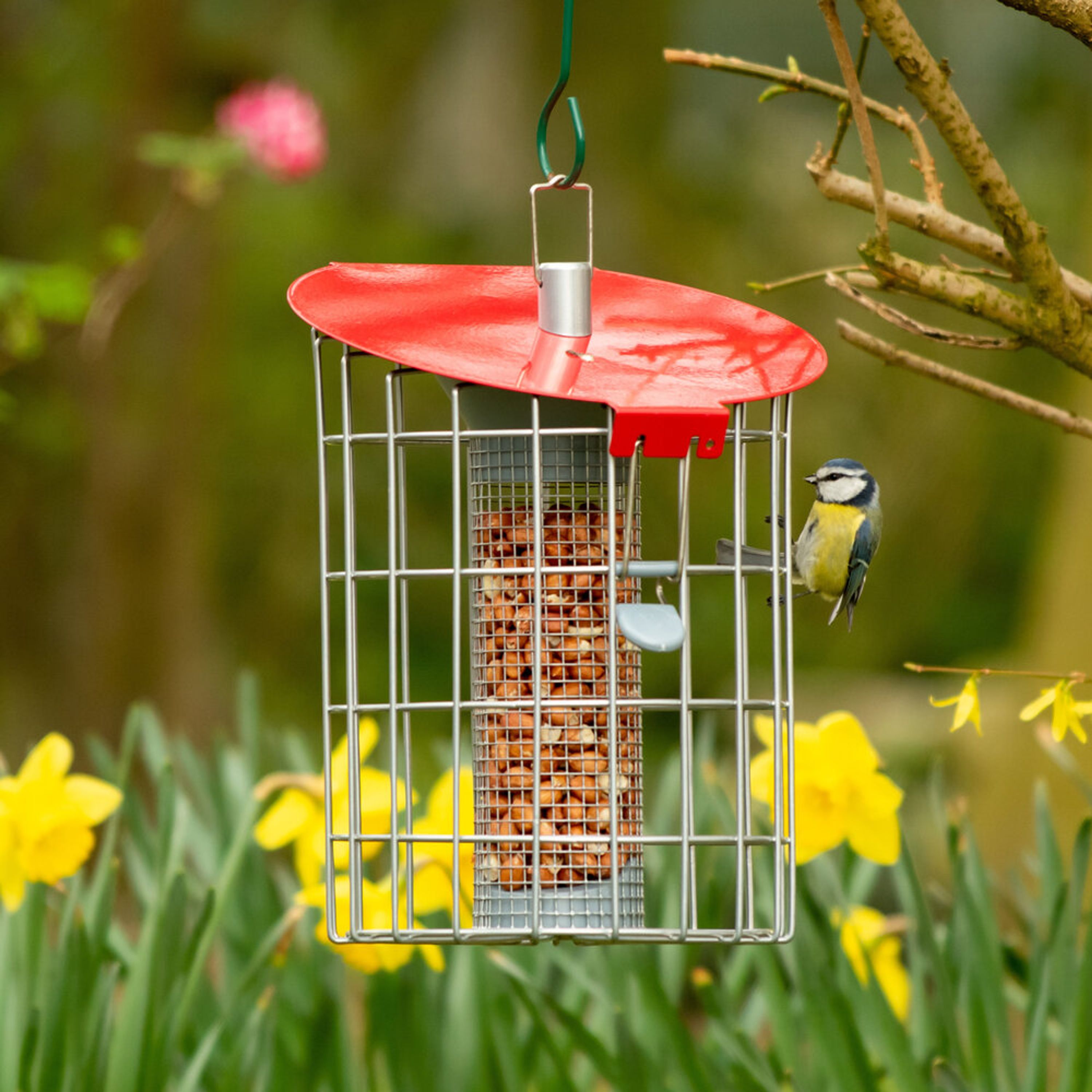 Erdnusssäule mit Schutzkäfig „Roundhouse“ | CJ Wildlife