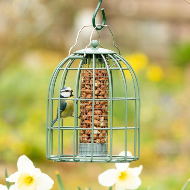 Jordnøddeautomat Compact med beskyttelsesbur