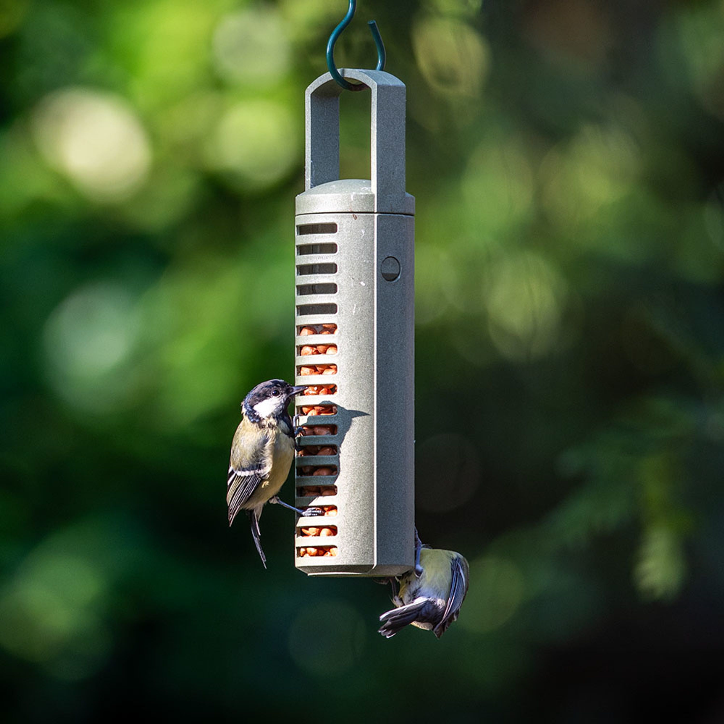 Erdnuss-Säule aus recycelten PET-Flaschen | SingingFriend