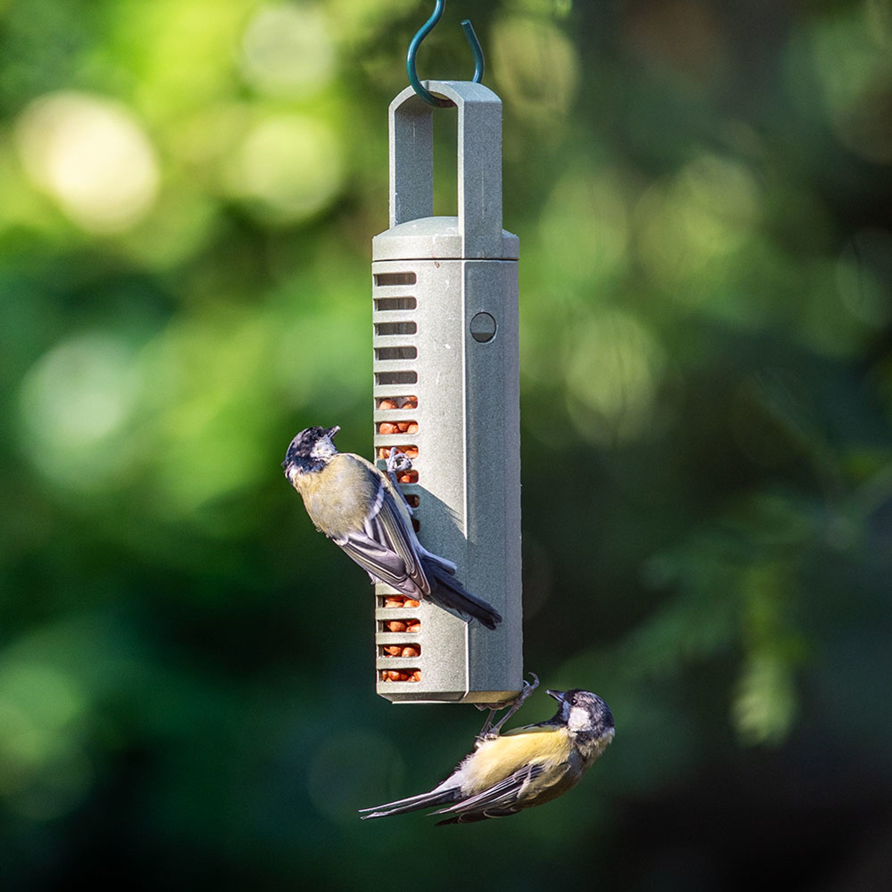 Erdnuss-Säule aus recycelten PET-Flaschen | SingingFriend