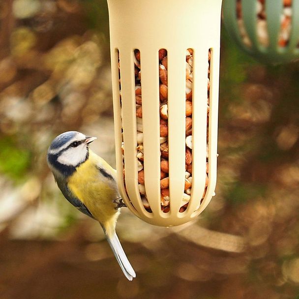 Max Peanut Bird Feeder