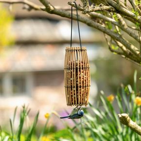 Hanging Peanut Bird Feeder Nyah