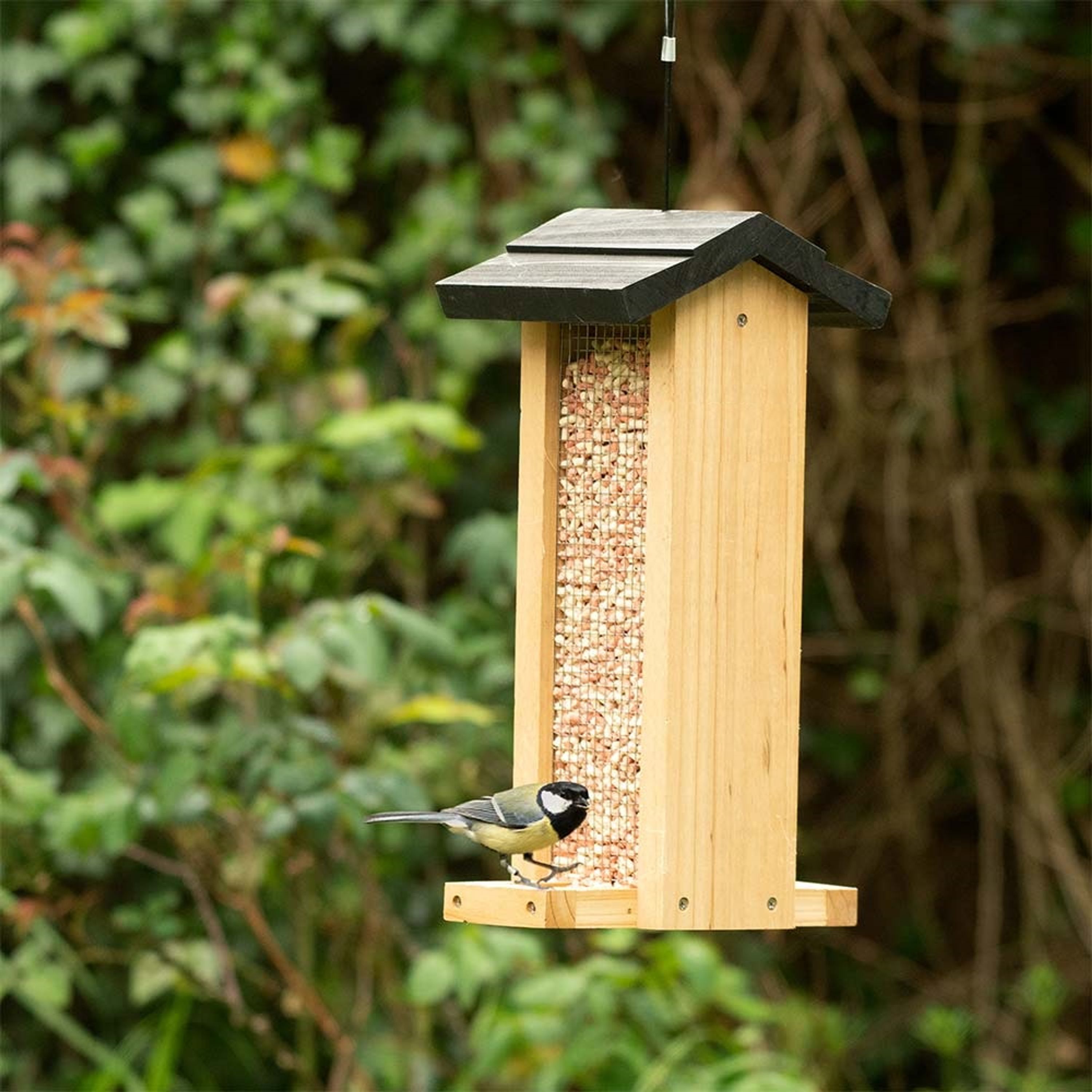 Erdnuss-Vogelfutterhaus Aalborg Zedernholz | CJ Wildlife – CJ Wildlife