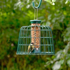Guardian Caged Peanut Feeder Small Defender