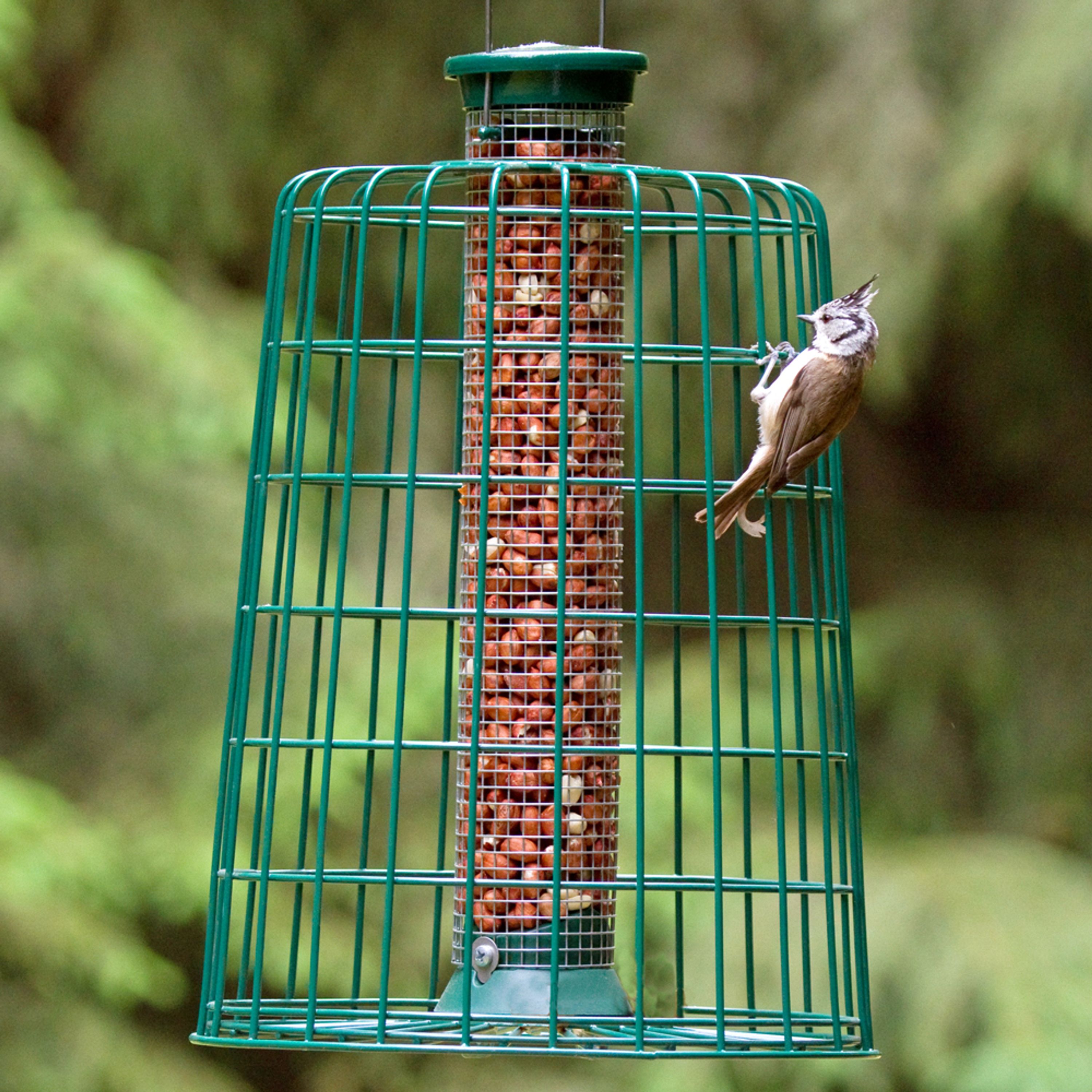 Guardian Caged Peanut Feeder Large Defender