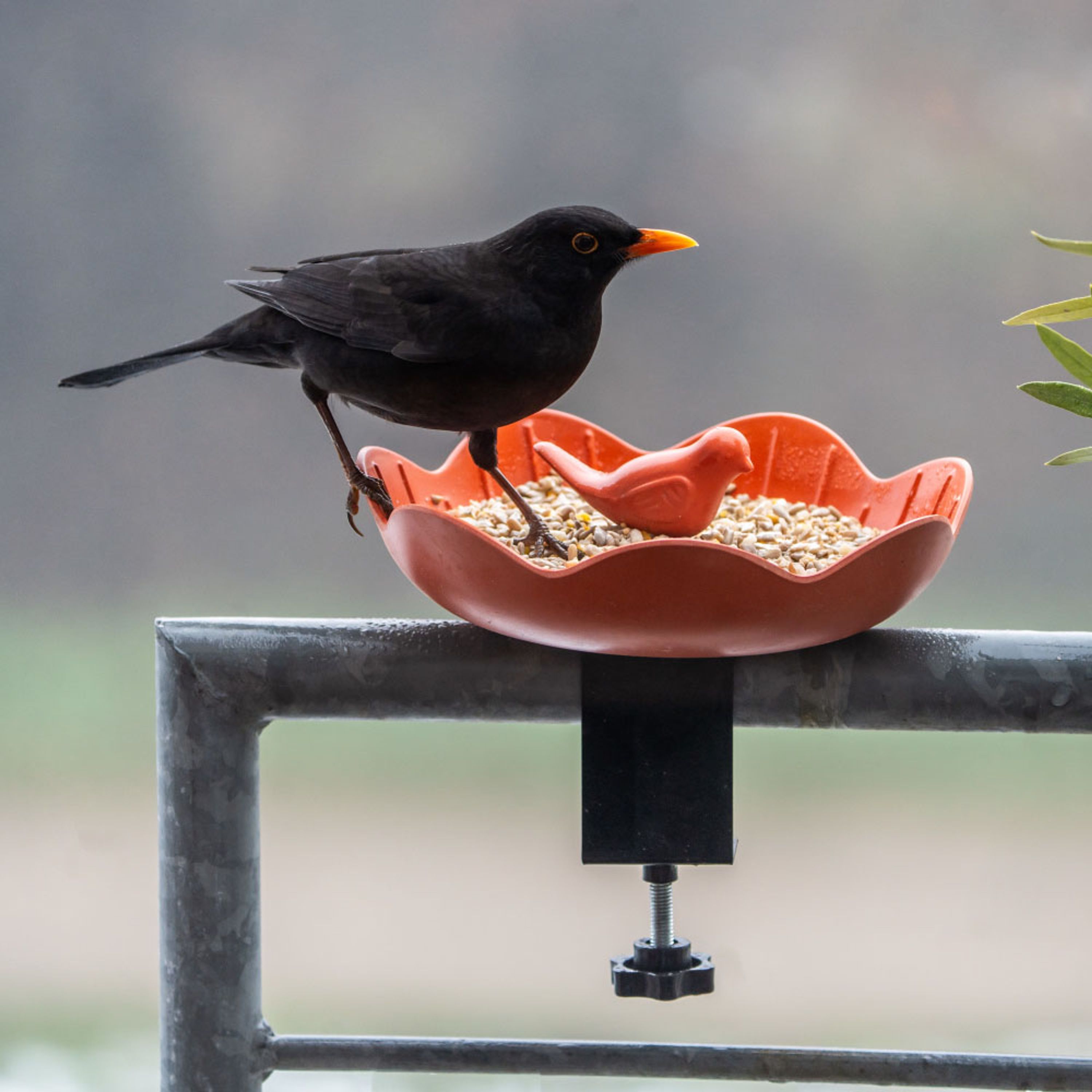 Comparer les prix de Mangeoire pour balcon - Balus - Terre cuite | CJ Wildlife