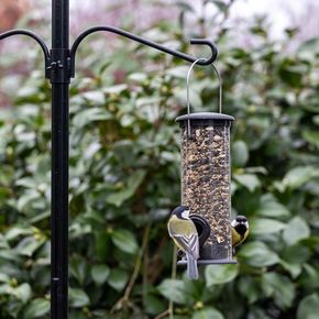 Amsterdam Seed Feeder 2 ports - Black