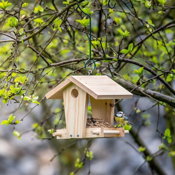 National Trust Kids DIY Bird Feeder Table Jinto