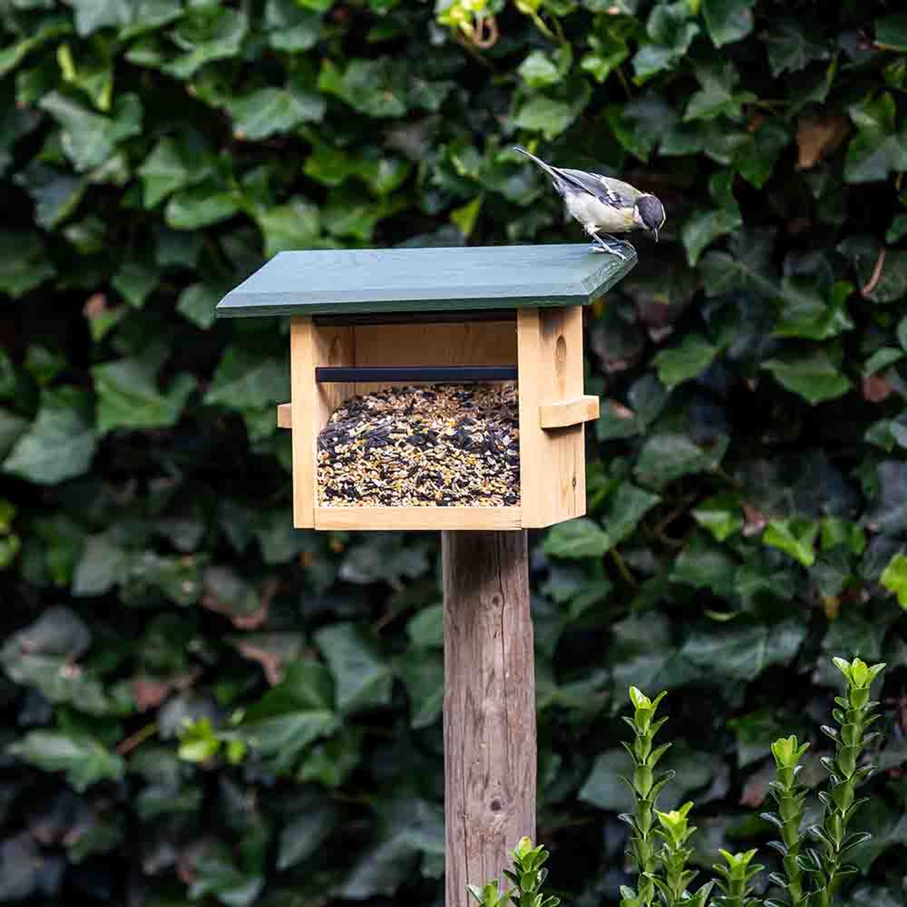 Futterhaus „Tilburg“ für kleine Vögel, Wandbefestigung | CJ Wildlife