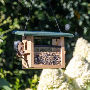 Eindhoven Hanging Bird Seed Feeder