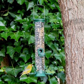 4 Port Bird Seed Feeder Challenger
