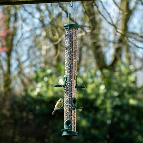 Futtersäule Kunststoff 56 cm Grün