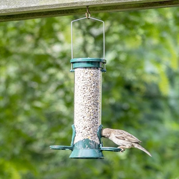 National Trust 2 Port Metal Bird Seed Feeder Defender