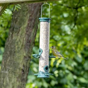 National Trust 4 Port Metal Bird Seed Feeder Defender