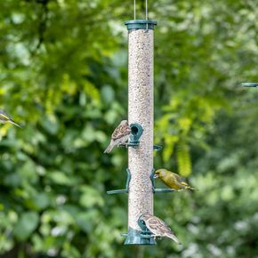 6 Port Metal Bird Seed Feeder Defender