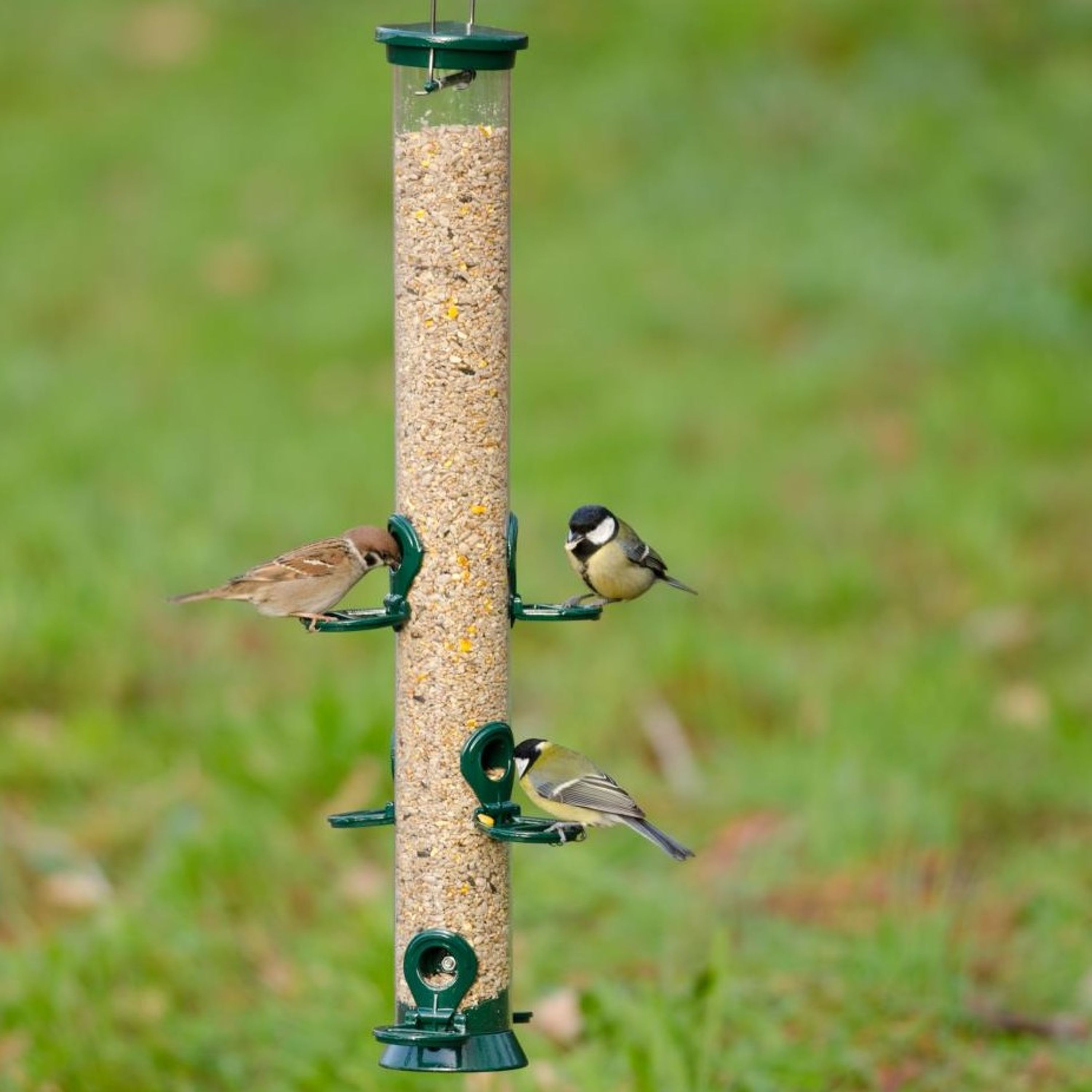 Futtersäule Metall 56 cm Grün | CJ Wildlife