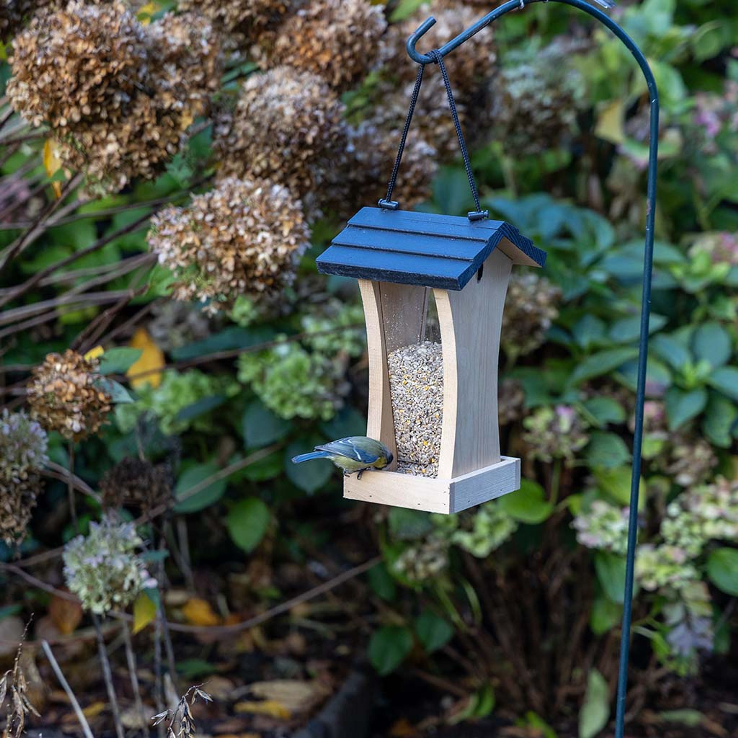 Vogelspotcast Voederhuis Peel | Vogelspotcast |  | Partner van Vogelbescherming Nederland