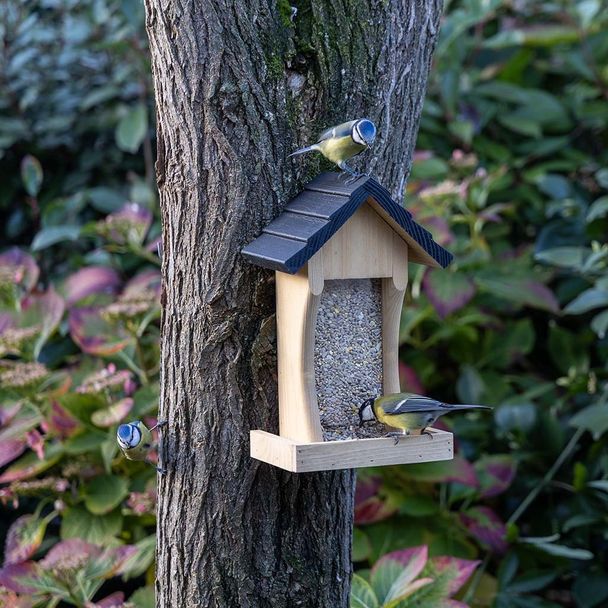 Vogelspotcast Wandvoederhuis Texel