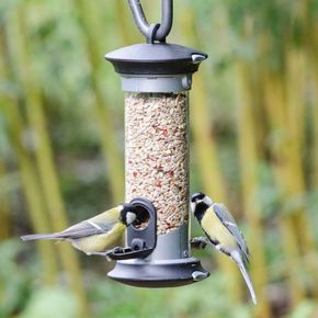 National Trust Apollo 2 Port Seed Feeder
