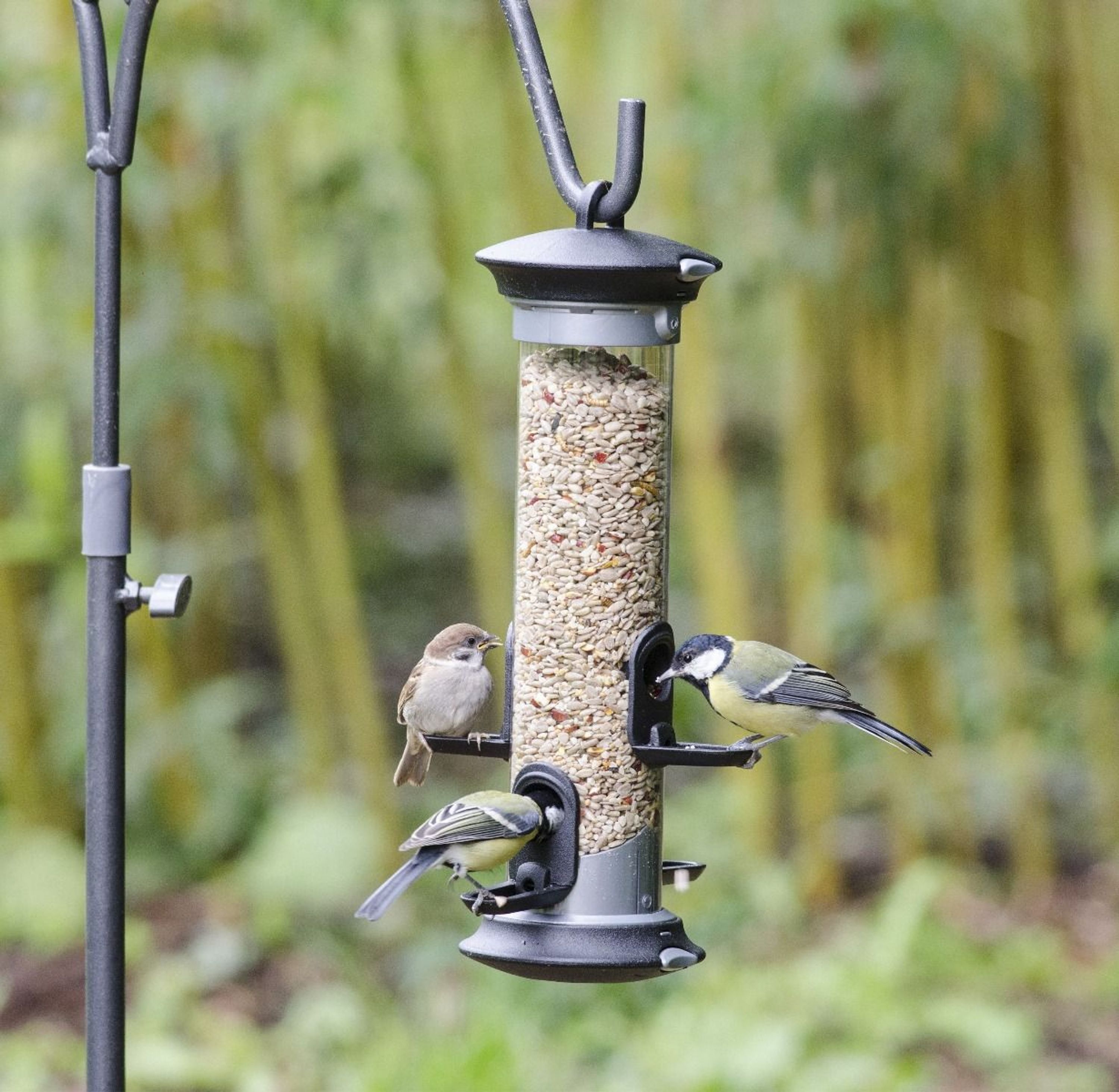 Voedersilo Apollo - 4 openingen | CJ Wildlife | Voedersystemen | Partner van Vogelbescherming Nederl