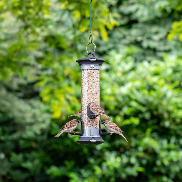 National Trust Apollo 4 Port Seed Feeder