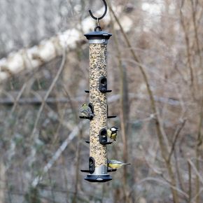Apollo 8 Port Bird Seed Feeder