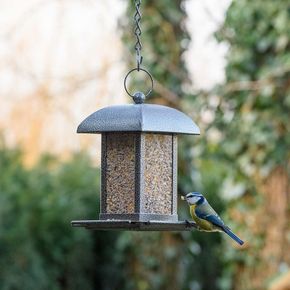 Salzburg Metal Seed Feeder