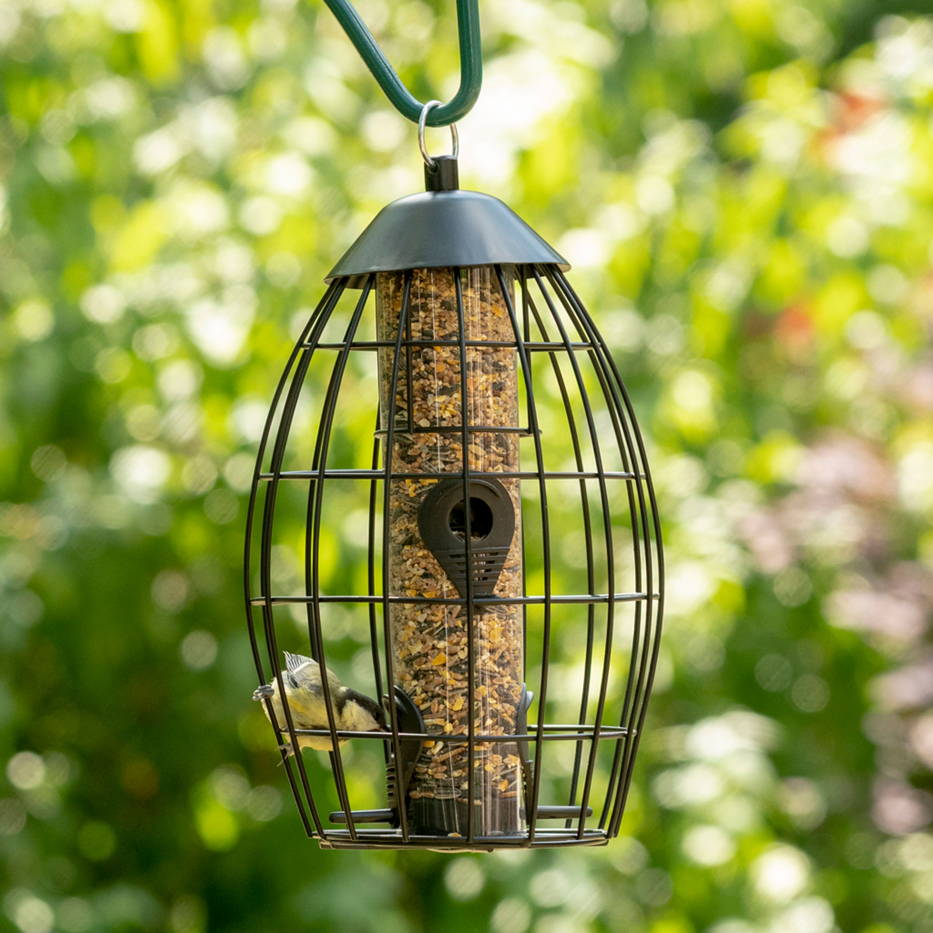 Singapore Vogelfutterspender mit Schutzkäfig | Vivara