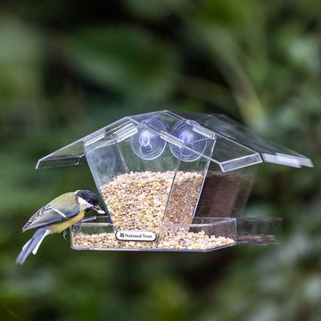 National Trust Crete Window Bird Feeder