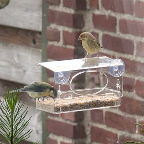 Rhodes Window Bird Feeder
