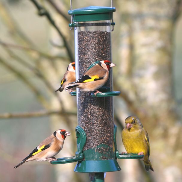 4 Port Metal Nyjer Feeder Defender