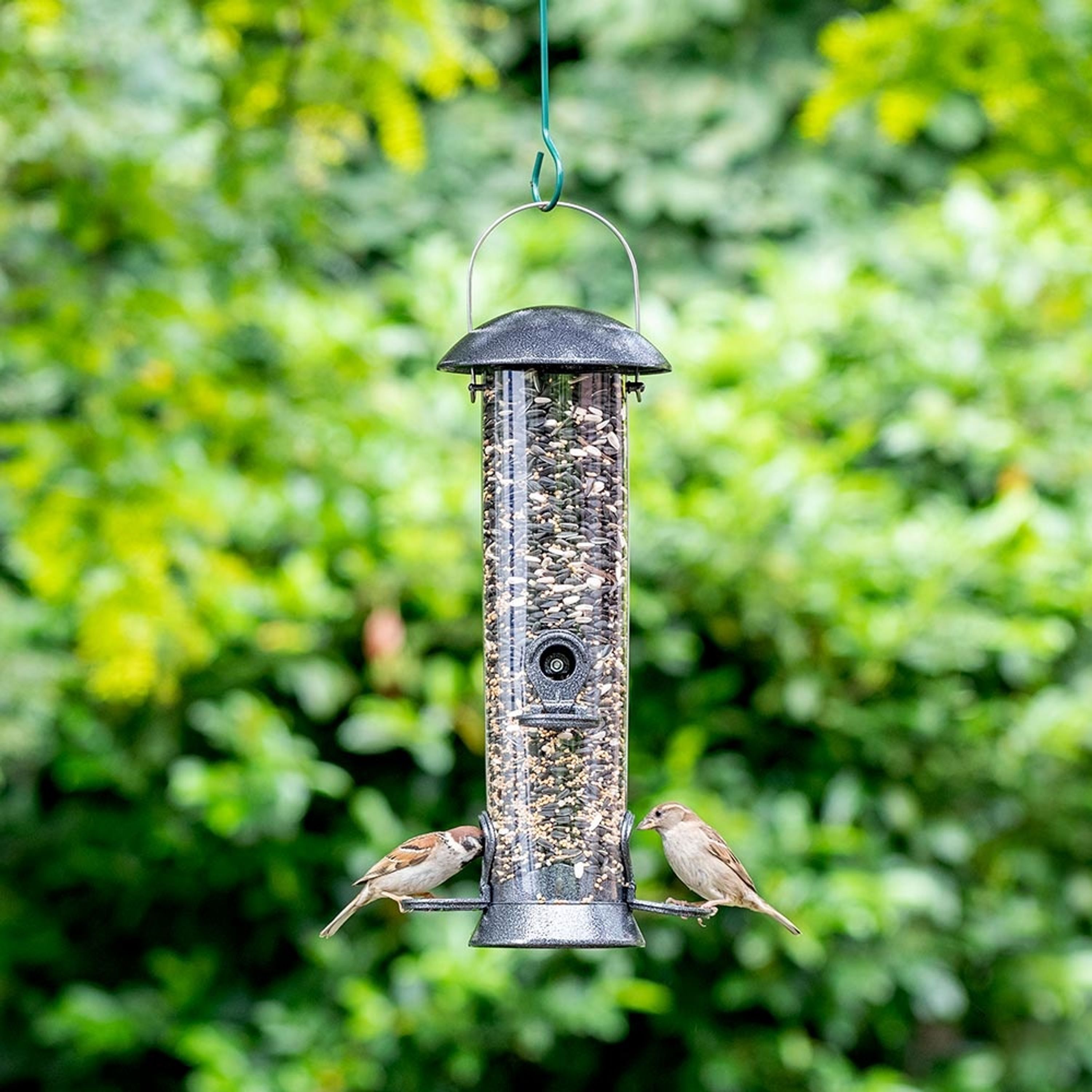 Meilleurs prix pour Silo Explorateur - 40cm (4 ouvertures) | Mangeoires et Silos pour graines | Mangeoires pour oiseaux | Capacité Grande | Garantie 5 ans | Vivara